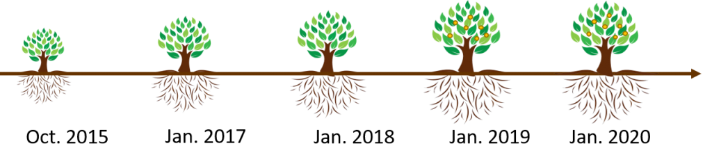 AquiMax is proven to increase citrus ROI with 2 applications per year