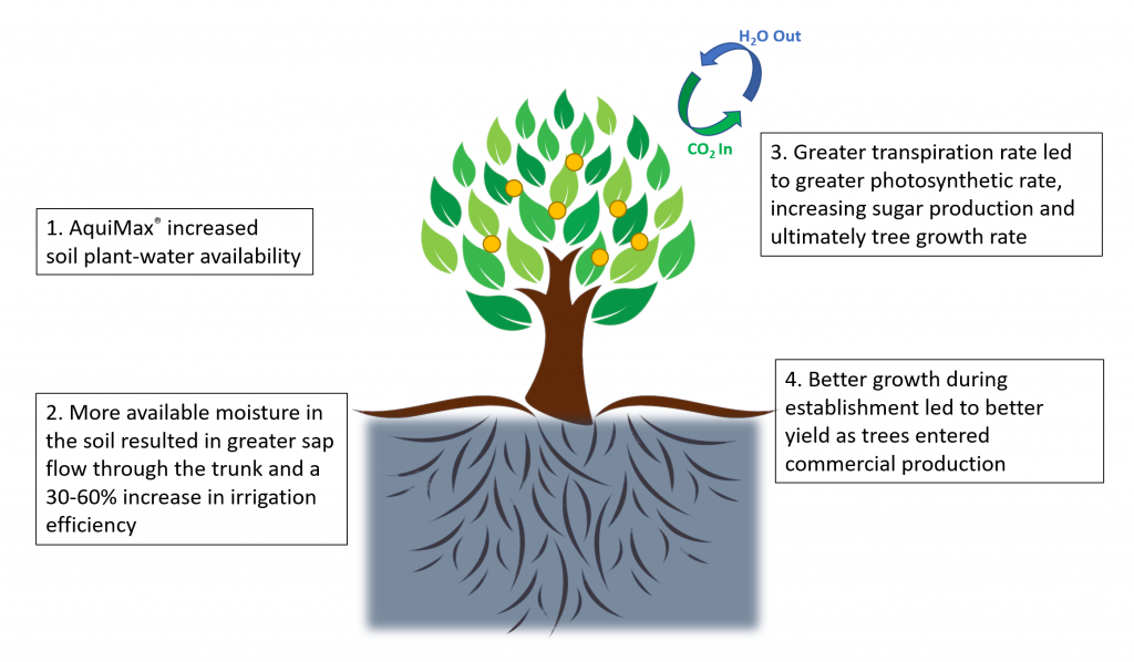 AquiMax increases water efficiency and yield increases in citrus orchards